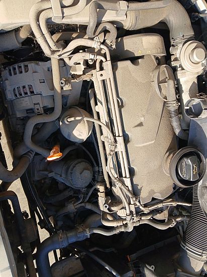 Motor