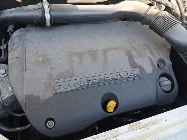 Motor LAND ROVER RANGE ROVER EVOQUE (L538)