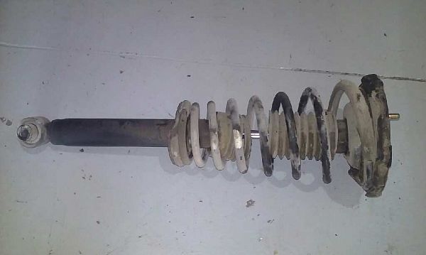 Federbein vorn NISSAN PRIMERA (P11)