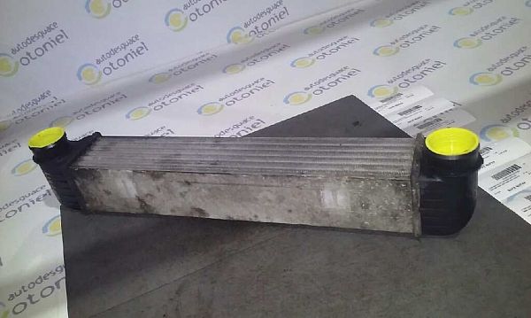 Intercooler radiator