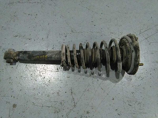 Federbein vorn NISSAN PRIMERA (P10)