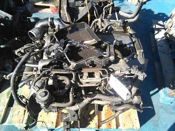 Motor NISSAN ALMERA Mk II (N16)