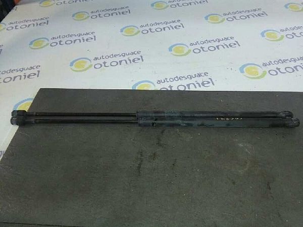 Tailgate gas strut SUZUKI IGNIS II (MH)