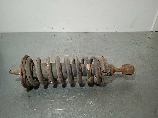 Federbein vorn NISSAN NAVARA NP300 (D40)