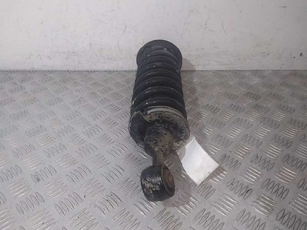Federbein vorn NISSAN NAVARA NP300 (D40)