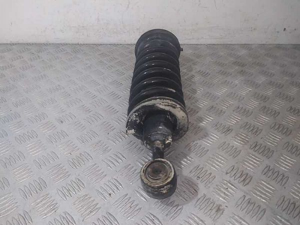 Federbein vorn NISSAN NAVARA NP300 (D40)
