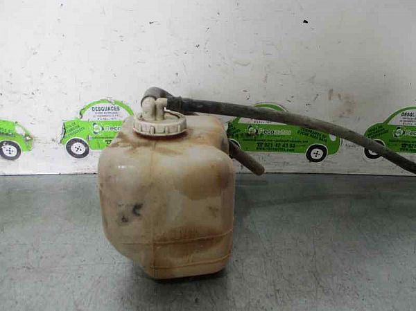 Fuel expansion tank