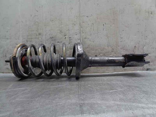 Federbein vorn MG MONTEGO