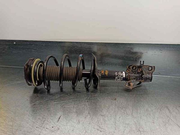 Federbein vorn NISSAN QASHQAI / QASHQAI +2 I (J10, NJ10, JJ10E)