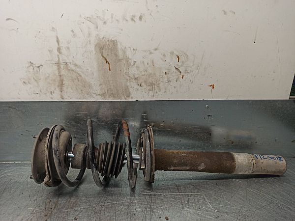 Federbein vorn BMW 5 (E39)