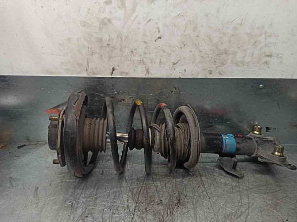 Federbein vorn NISSAN PRIMERA (P12)