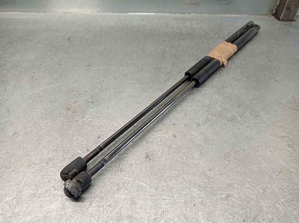 Tailgate gas strut SUZUKI IGNIS II (MH)