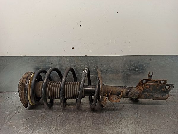 Federbein vorn NISSAN QASHQAI / QASHQAI +2 I (J10, NJ10, JJ10E)