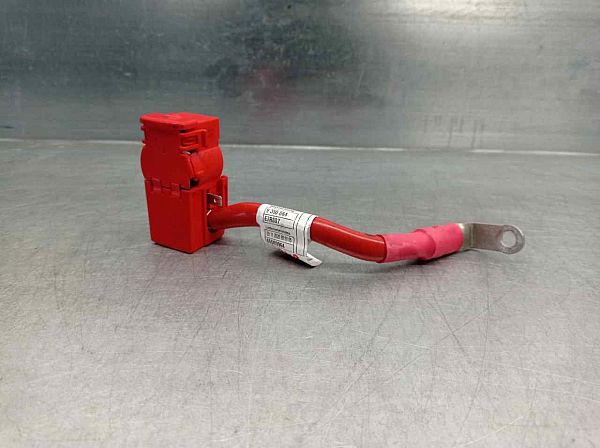 Positive cable battery