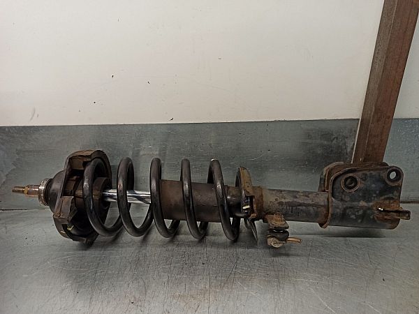 Federbein vorn NISSAN PRIMASTAR Platform/Chassis (X83)