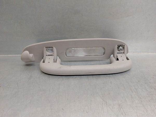 Roof grab handles