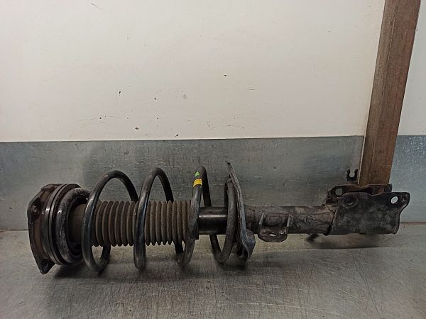 Federbein vorn NISSAN QASHQAI / QASHQAI +2 I (J10, NJ10, JJ10E)