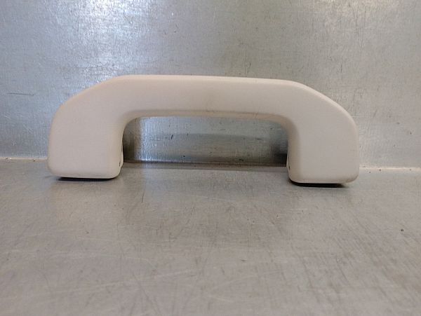 Roof grab handles
