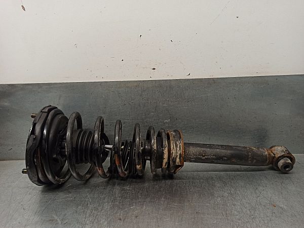Federbein vorn NISSAN PRIMERA (P10)