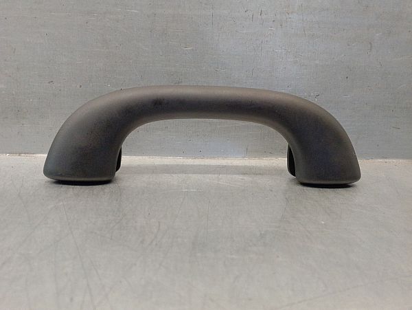 Roof grab handles