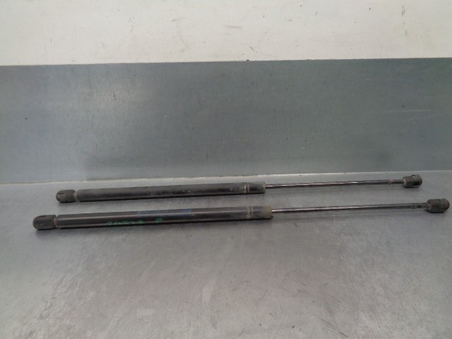 Tailgate strut