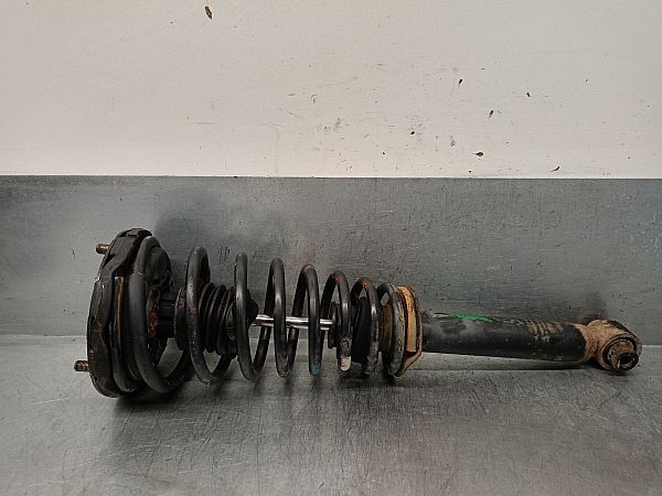 Federbein vorn NISSAN PRIMERA (P10)