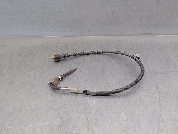 Exhaust gas temperature sensor