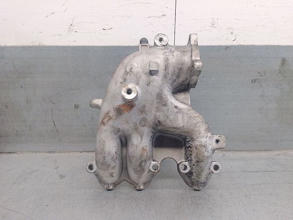 Ansaugkrümmer VW POLO (9N_)