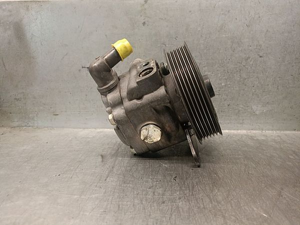 Servopumpe LAND ROVER RANGE ROVER SPORT I (L320)
