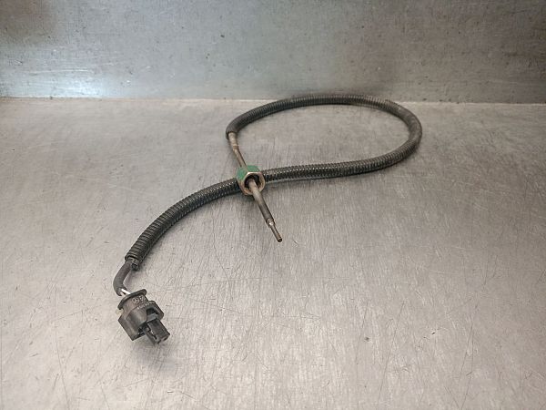 Exhaust gas temperature sensor