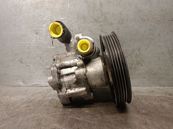 Servopumpe LAND ROVER FREELANDER I Soft Top (L314)