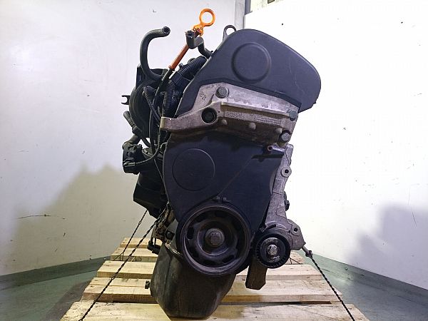 Motor SEAT IBIZA Mk III (6L1)
