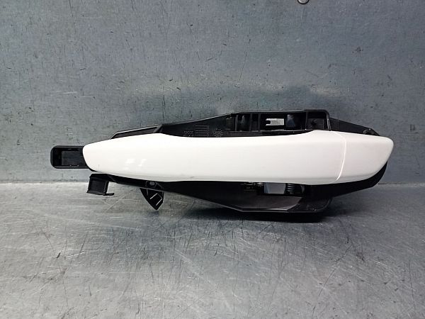 98-029-773-80: Handle - exterior, Handle - interior, Doorhandle