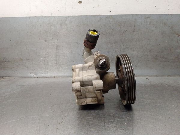 Servopumpe DACIA SANDERO II