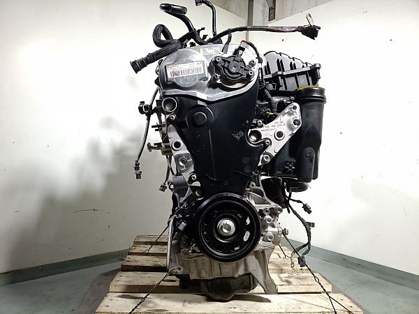 Motor VW GOLF VIII (CD1, DA1)