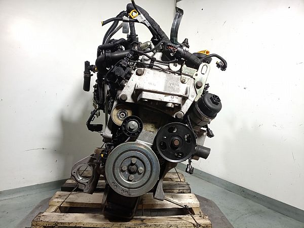 Motor FIAT 500L (351_, 352_)