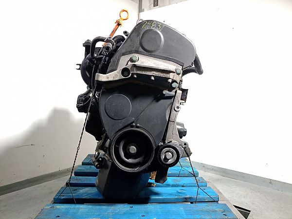 Motor SEAT IBIZA Mk III (6L1)
