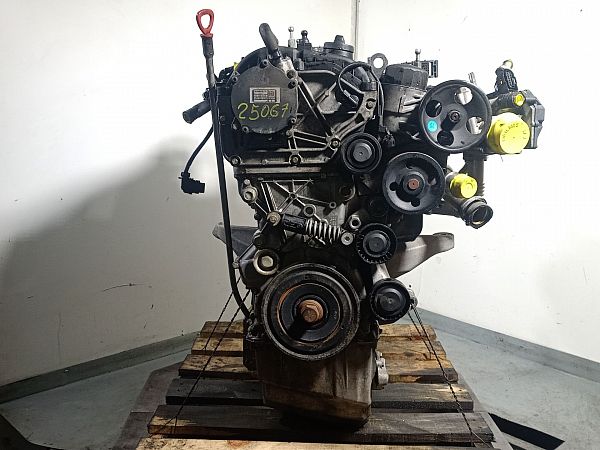 Motor SSANGYONG REXTON (Y400, Y450)