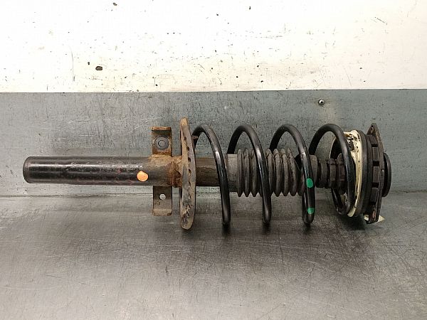 Federbein vorn RENAULT MEGANE II (BM0/1_, CM0/1_)
