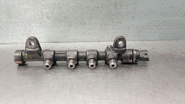 Hochdruckrail FIAT 500L (351_, 352_)