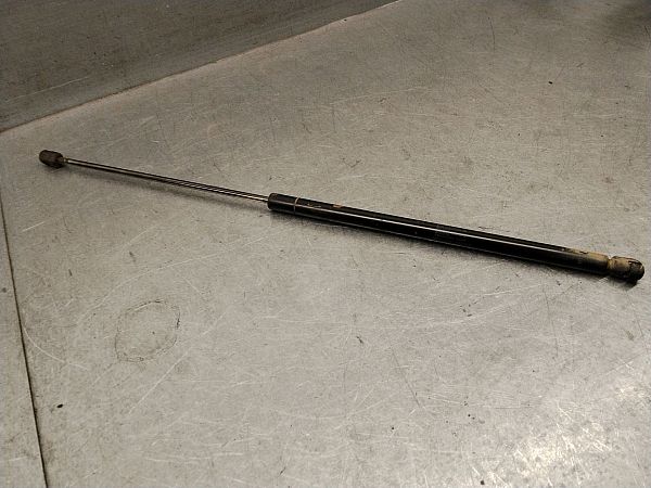 Tailgate strut