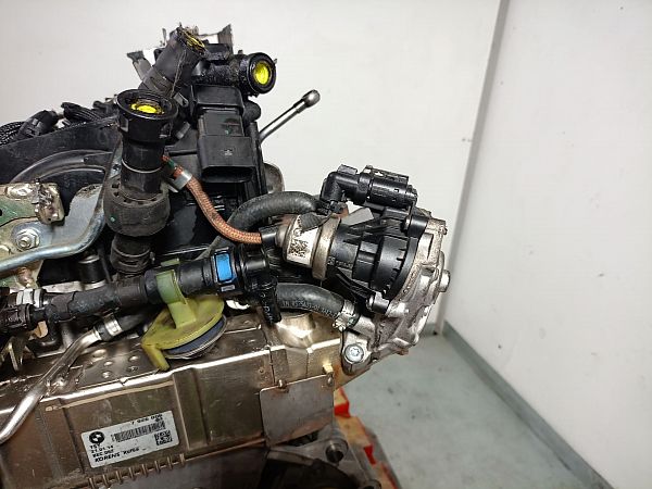 Motor