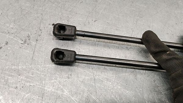 Rear window gas strut