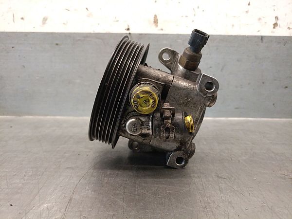 Electric power steering pump
