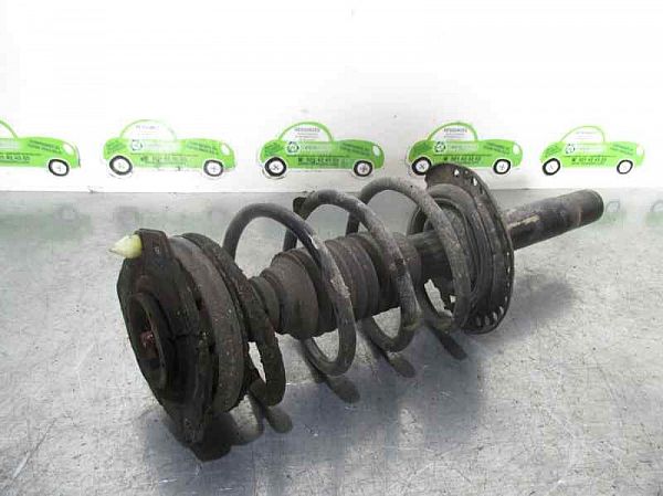 Federbein vorn RENAULT MEGANE II Sport Tourer (KM0/1_)