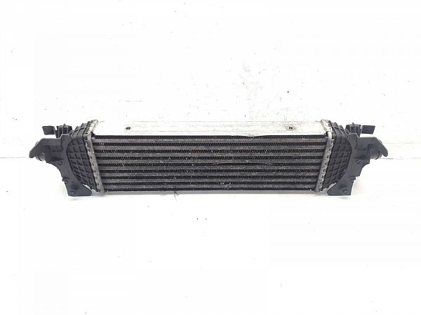 Ladeluftkühler FORD FIESTA V (JH_, JD_)