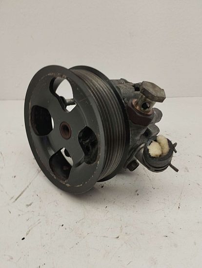 Servopumpe LAND ROVER RANGE ROVER SPORT I (L320)
