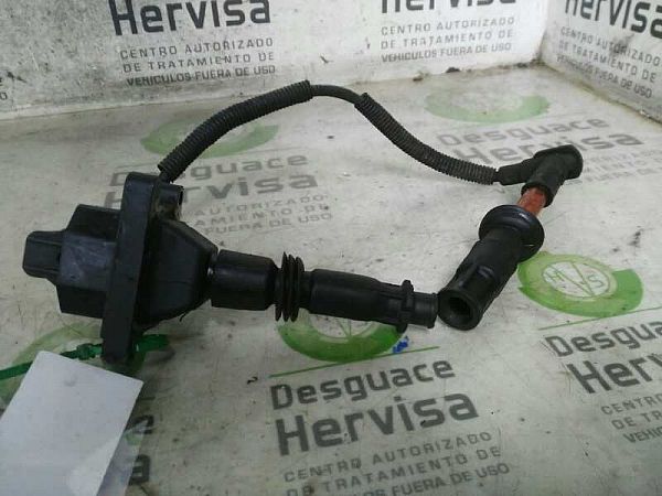 Ignition plug leads