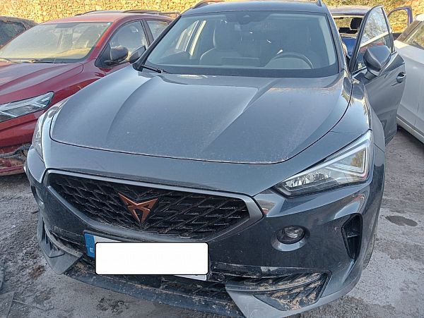 Motor CUPRA FORMENTOR (KM7, KMP)