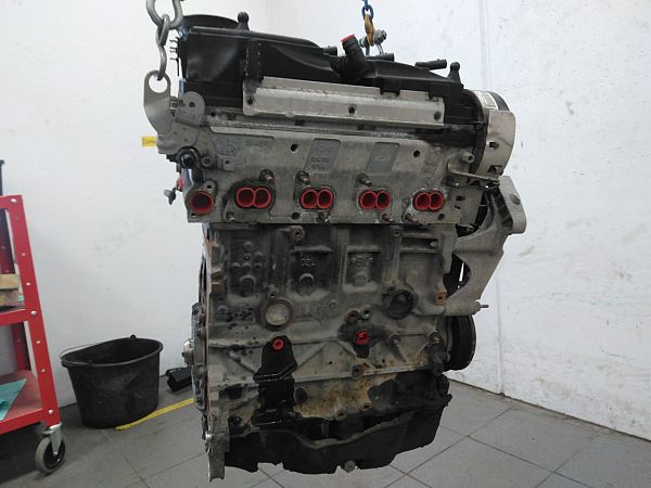 Motor SKODA OCTAVIA II Combi (1Z5)